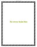 Xả stress hoàn hảo