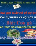 Giáo án điện tử mầm non: Bài giảng về động vật(Con gà)