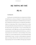 HỆ THỐNG BỔ THỂ (Kỳ 4)