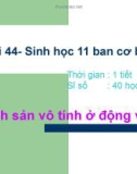 Bài giảng Bài 44 - Sinh học 11 ban cơ bản: Sinh sản vô tính ở động vật