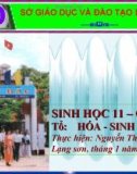 Bài giảng Sinh học 11 - Bài 32: Tập tính của động vật (Tiếp theo)