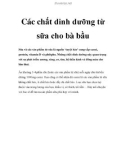 Các chất dinh dưỡng từ sữa cho bà bầu