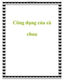 Công dụng của cà chua