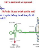 Giáo án điện tử sinh học: Sinh học lớp 12-TIẾT 2: PHIÊN MÃ VÀ DỊCH MÃ