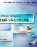 Giáo án điện tử môn sinh học: Sinh Học lớp 12- Bài 2- Phiên mã và Dịch mã