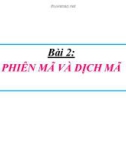 Bài giảng môn Sinh học lớp 12 bài 2: Phiên mã và dịch mã