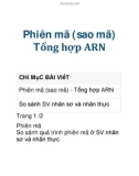 Phiên mã (sao mã) Tổng hợp ARN