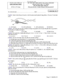 Đề thi thử THPT Quốc gia môn Sinh học năm 2019 lần 1 - Sở GD&ĐT Nghệ An - Mã đề 213