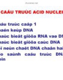 Cấu trúc Acid Nucleic