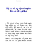 Hệ cơ và sự vận chuyển Bò sát (Reptilia)