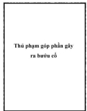 Thủ phạm góp phần gây ra bướu cổ