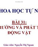 Bài giảng Sinh học 7 bài 31 sách Cánh diều: Sinh trưởng và phát triển ở động vật