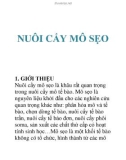 nuôi cấy mô sẹo