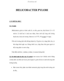 TÀI LIỆU HELICOBACTER PYLORI