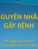 Nguyên nhân gây bệnh