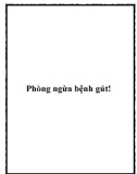 Phòng ngừa bệnh gút