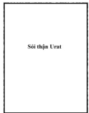 Sỏi thận Urat