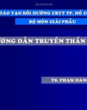 Bài giảng Đường dẫn truyền thần kinh