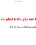 Bài giảng Gây mê hồi sức: Lịch sử phát triển gây mê hồi sức - ThS. BS. Nguyễn Thị Phương Dung