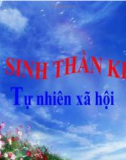 Bài 15: Vệ sinh thần kinh - Bài giảng điện tử Tự nhiên xã hội 3 - T.B.Minh