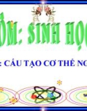 Bài giảng môn Sinh học lớp 8 bài 2: Cấu tạo cơ thể người