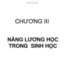 LÝ SINH ĐẠI CƯƠNG - CHƯƠNG III NĂNG LƯƠNG HỌC TRONG SINH HỌC