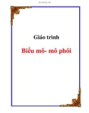 Giáo trình Biểu mô - mô phôi