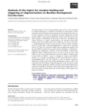 Báo cáo khoa học: Analysis of the region for receptor binding and triggering of oligomerization on Bacillus thuringiensis Cry1Aa toxin