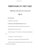 NHIỄM KHUẨN TIẾT NIỆU (Kỳ 2)