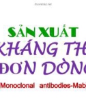 Bài giảng Sản xuất kháng thể đơn dòng (Monoclonal antibodies-Mab)