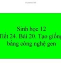 Bài giảng Sinh học lớp 12 bài 20: Tạo giống nhờ công nghệ gen