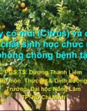 Cây có múi (Citrus) và các hoạt chất sinh học chức năng phòng chống bệnh tật (TS. Dương Thanh Liêm)