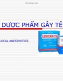 Dược phẩm gây tê