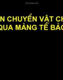 Vận chuyển vật chất qua màng tế bào