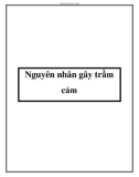 Nguyên nhân gây trầm cảm