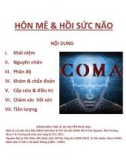 Bài giảng Hôn mê và hồi sức não