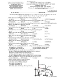 Đề thi thử THPT QG môn Hóa học năm 2018-2019 lần 1 - Sở GD&ĐT Ninh Bình - Mã đề 010