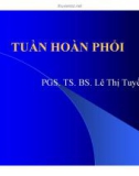 Bài giảng Tuần hoàn phổi - PGS.TS. BS. Lê Thị Tuyết Lan