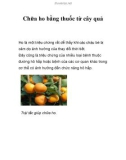 Chữa ho bằng thuốc từ cây quả