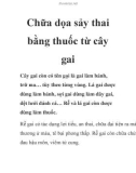 Chữa dọa sảy thai bằng thuốc từ cây gai