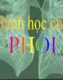 Bài giảng Bệnh học của phổi