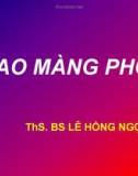 Bài giảng Lao màng phổi - ThS. BS. Lê Hồng Ngọc