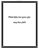 Phát hiện hai gene gây ung thư phổi