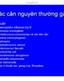 Bài giảng chẩn đoán và điều trị Viêm màng não part 3