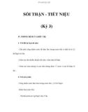 SỎI THẬN - TIẾT NIỆU (Kỳ 3)