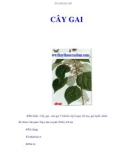 CÂY GAI