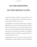 CÁC CHẤT DINH DƯỠNG - CÁC CHẤT KHOÁNG VÀ NƯỚC