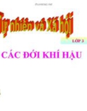 Bài giảng Các đới khí hậu - Tự nhiên xã hội 3- GV. N.T.Sỹ