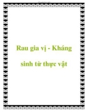 Rau gia vị - Kháng sinh từ thực vật