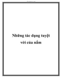 Những tác dụng tuyệt vời của nấm